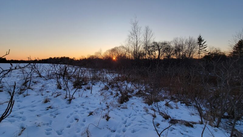 Saxl Park - Bangor, ME
