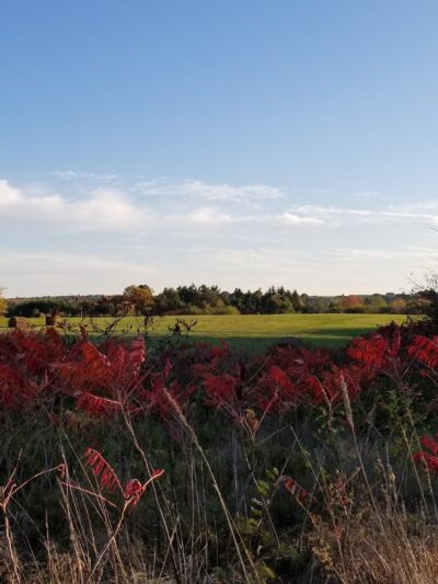 Saxl Park - Bangor, ME