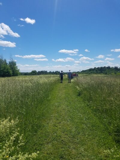 Saxl Park - Bangor, ME