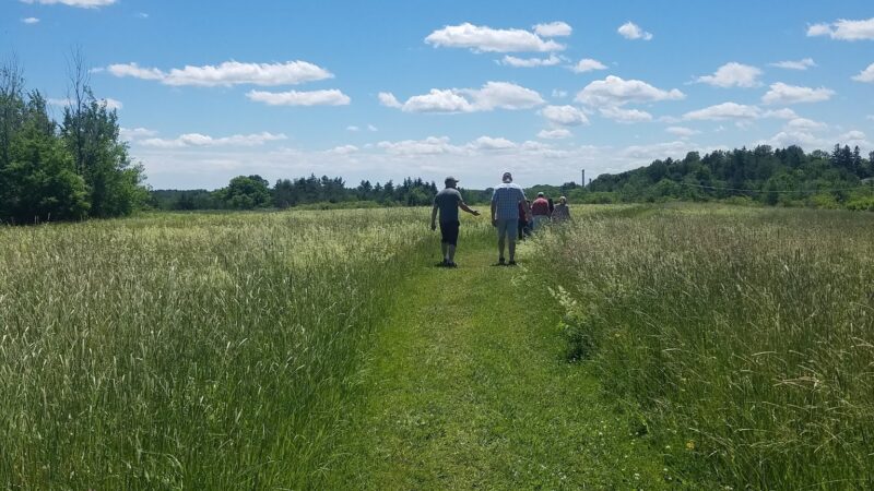 Saxl Park - Bangor, ME