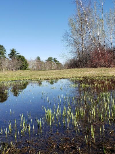 Saxl Park - Bangor, ME