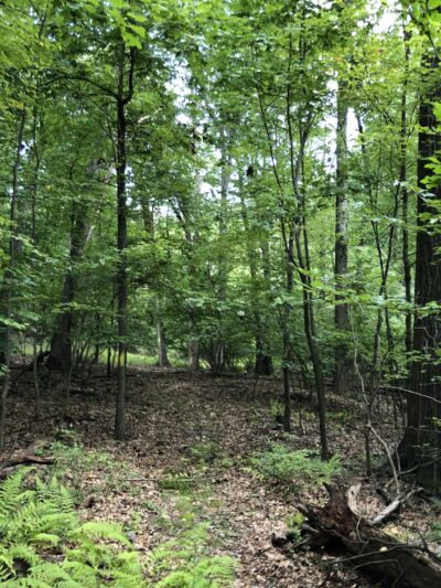 Appalachian Trail - Wolf Rocks - Bangor, PA
