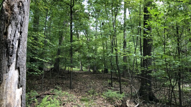 Appalachian Trail - Wolf Rocks - Bangor, PA