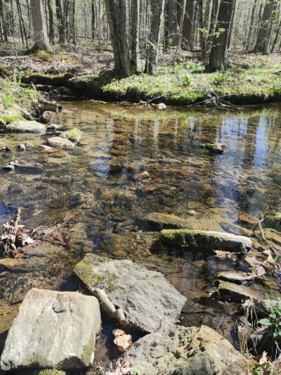 Minsi Lake Nature Trail - Bangor, PA