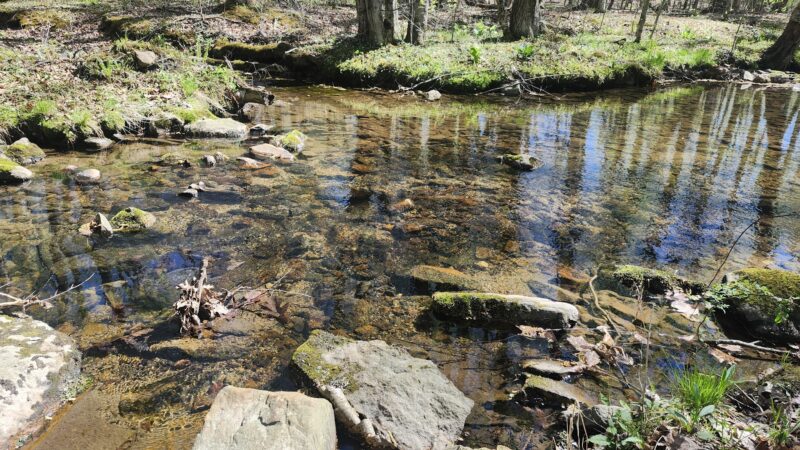 Minsi Lake Nature Trail - Bangor, PA