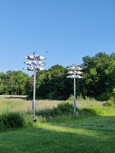 Minsi Lake Wilderness Area - Bangor, PA