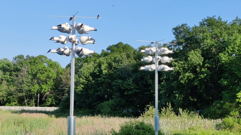 Minsi Lake Wilderness Area - Bangor, PA