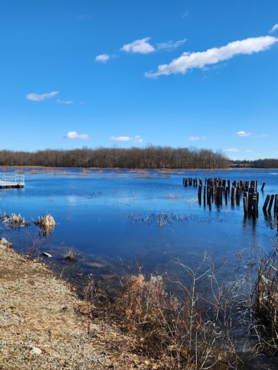 Minsi Lake Wilderness Area - Bangor, PA