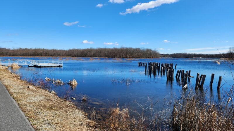 Minsi Lake Wilderness Area - Bangor, PA