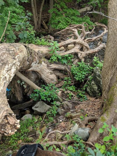 Pennico Park - Bangor, PA