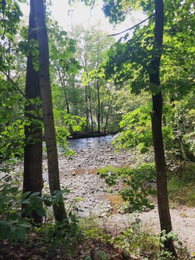 The Meadows at Martins Creek - Bangor, PA