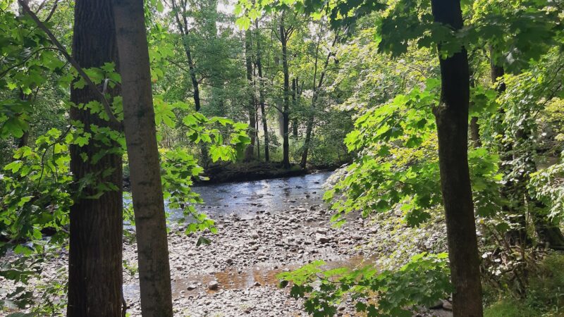 The Meadows at Martins Creek - Bangor, PA