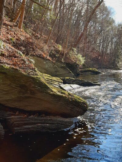 The Meadows at Martins Creek - Bangor, PA