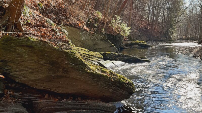 The Meadows at Martins Creek - Bangor, PA