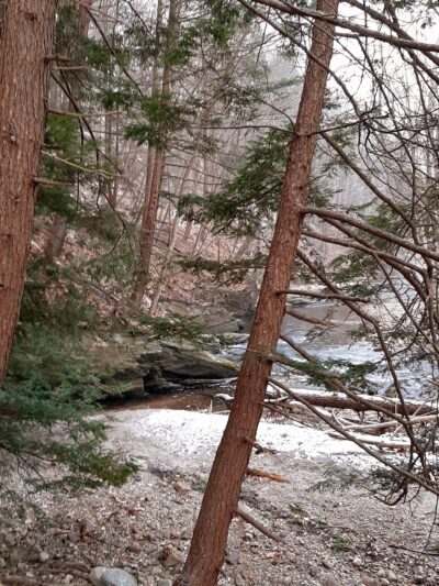 The Meadows at Martins Creek - Bangor, PA