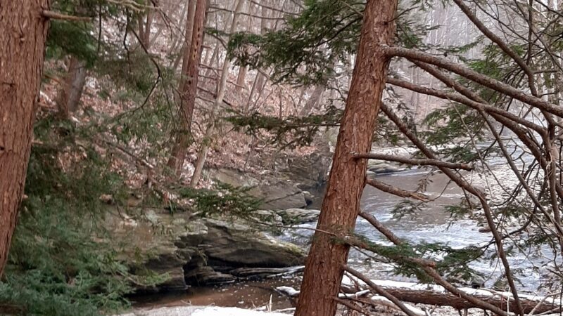 The Meadows at Martins Creek - Bangor, PA