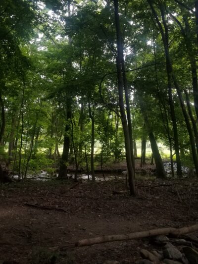 The Meadows at Martins Creek - Bangor, PA