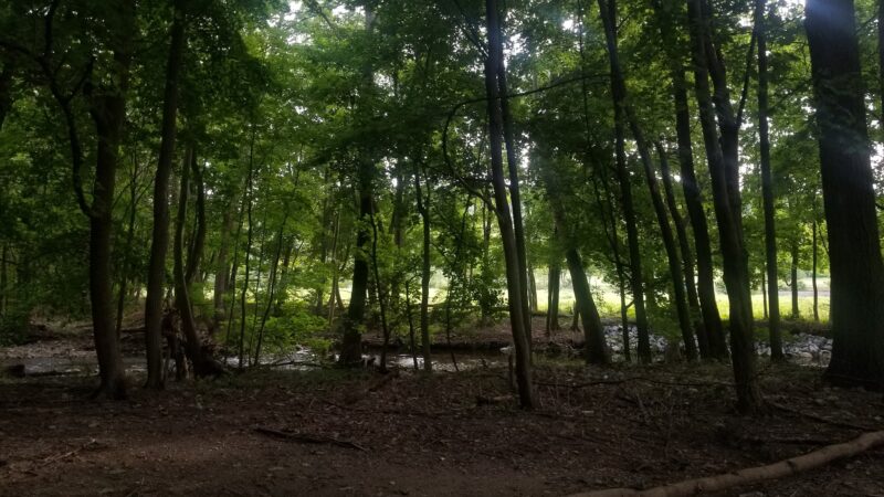 The Meadows at Martins Creek - Bangor, PA