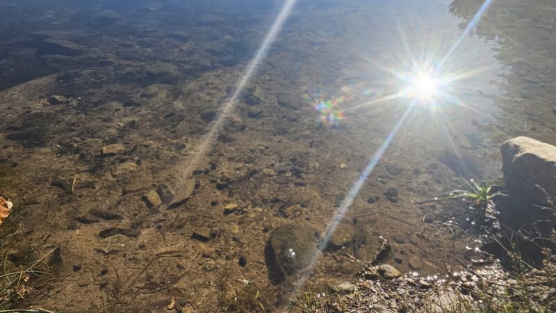 Twin Lakes County Park - Bangor, PA