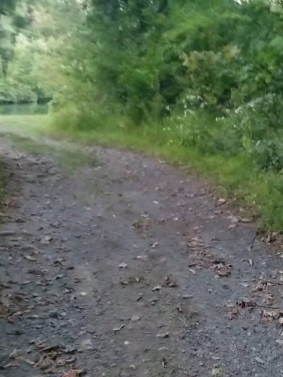 Twin Lakes County Park - Bangor, PA