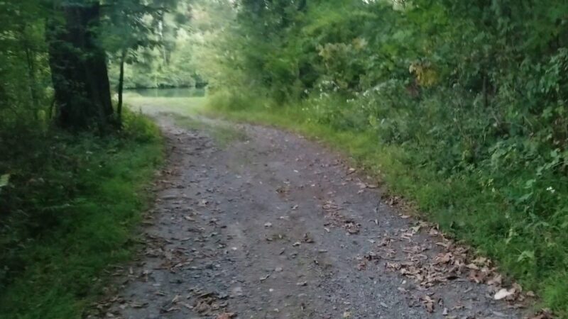 Twin Lakes County Park - Bangor, PA