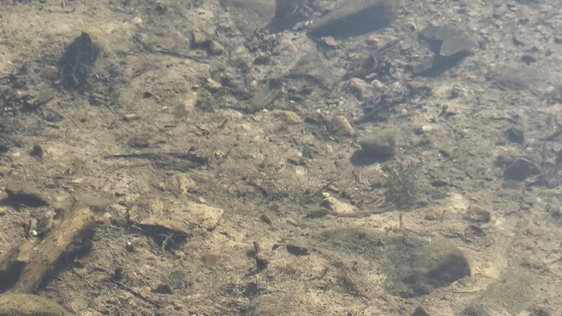 Twin Lakes County Park - Bangor, PA