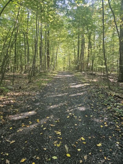 Twin Lakes County Park - Bangor, PA