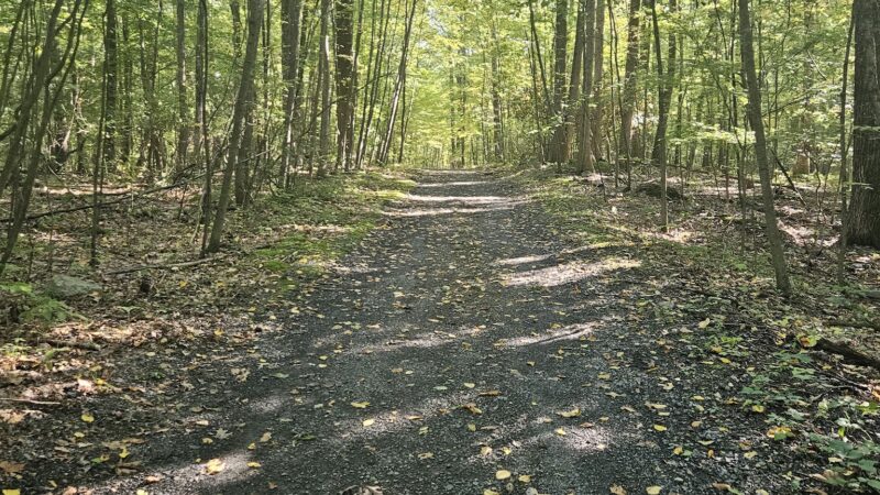 Twin Lakes County Park - Bangor, PA