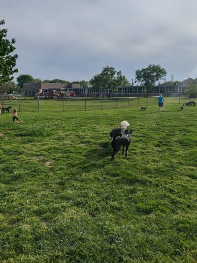 Decker Park - Barberton, OH