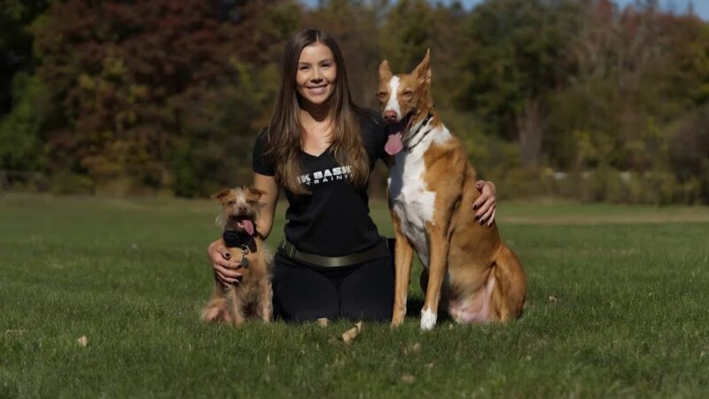 Bark Basics LLC - ,