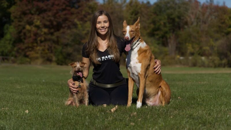 Bark Basics LLC - ,