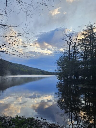 Locust Lake State Park Campground - Barnesville, PA