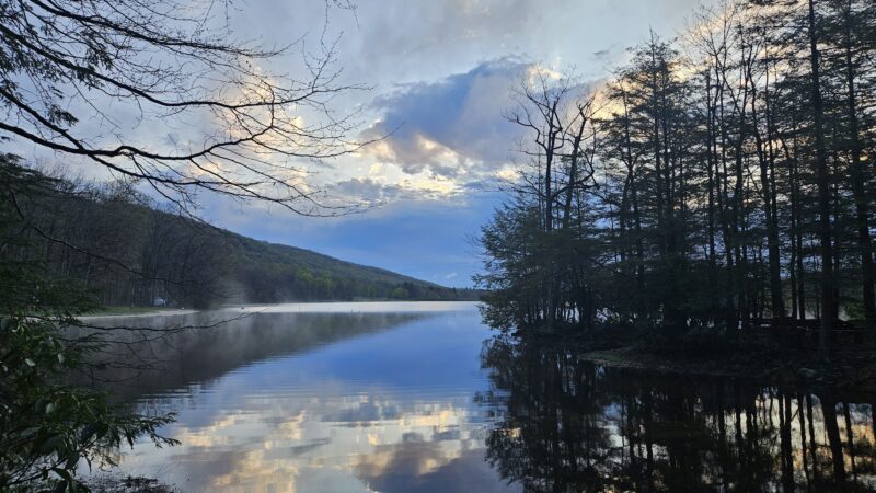 Locust Lake State Park Campground - Barnesville, PA