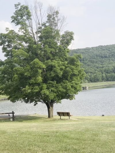 Locust Lake State Park Campground - Barnesville, PA