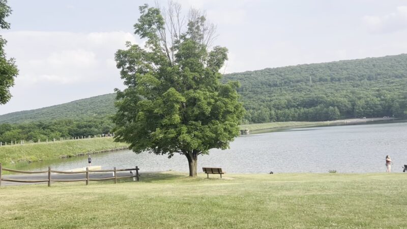 Locust Lake State Park Campground - Barnesville, PA