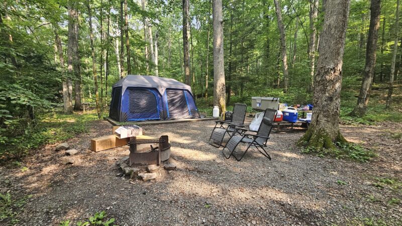 Locust Lake State Park Campground - Barnesville, PA