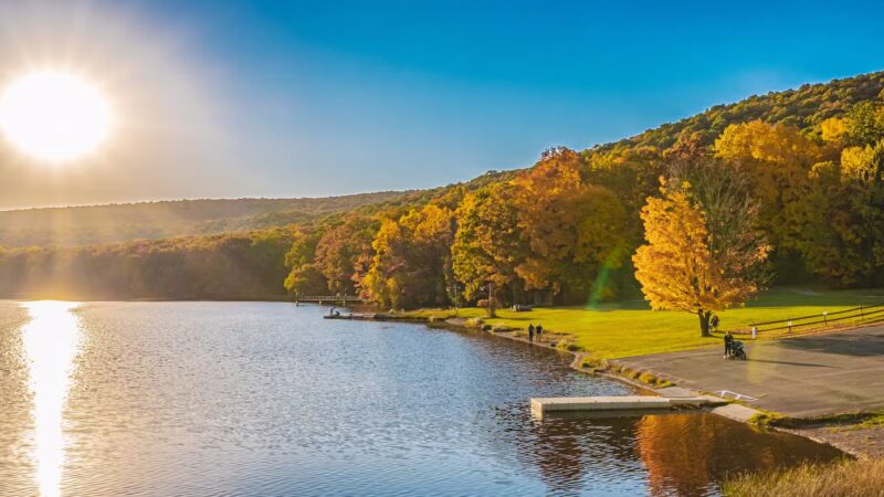 Locust Lake State Park Campground - Barnesville, PA