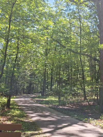 Locust Lake State Park - Barnesville, PA