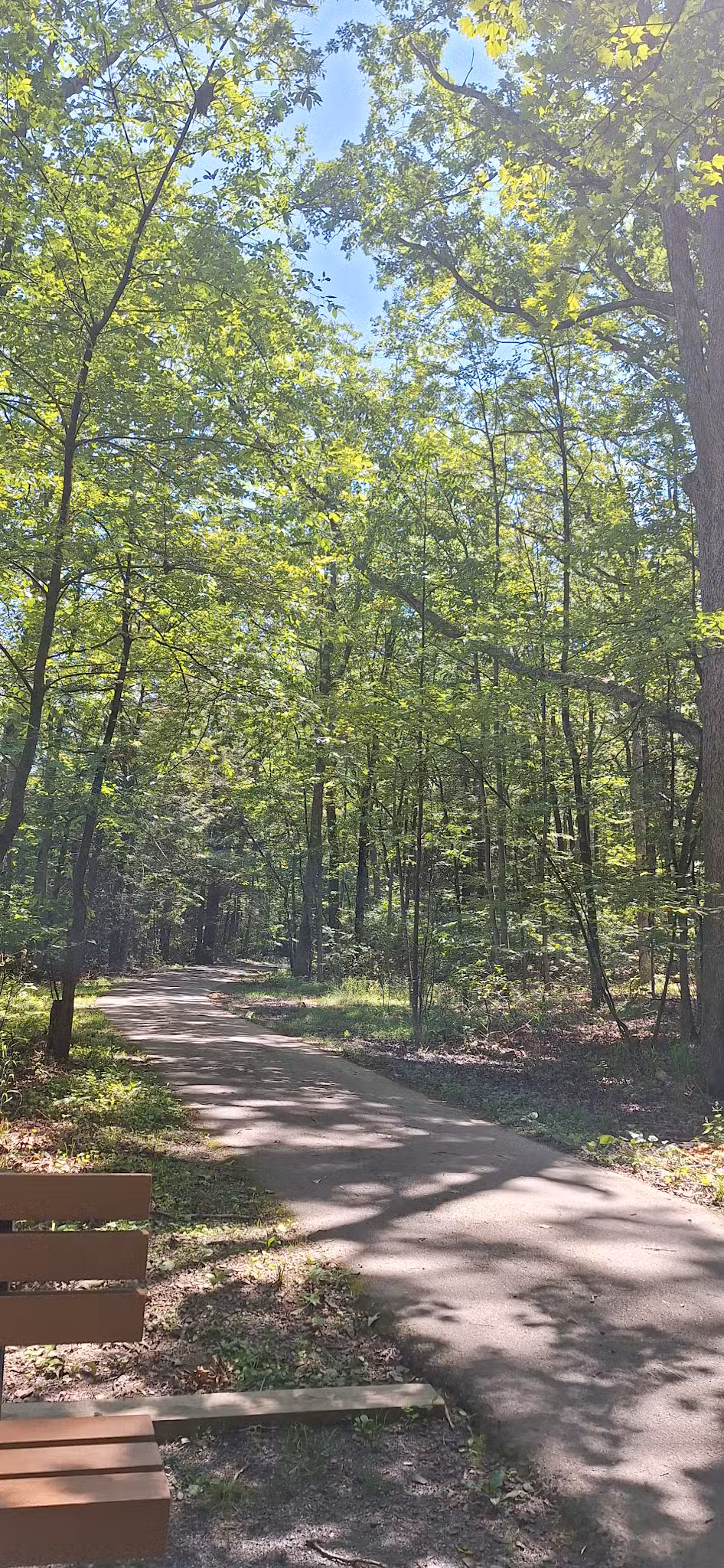 Locust Lake State Park - Barnesville, PA