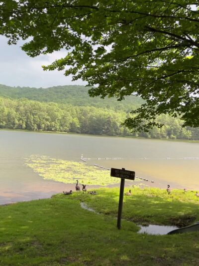 Tuscarora State Park - Barnesville, PA