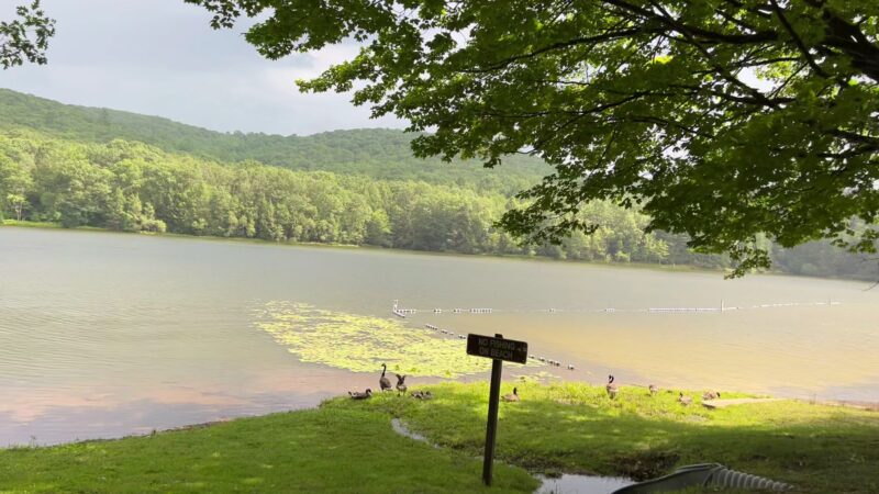 Tuscarora State Park - Barnesville, PA