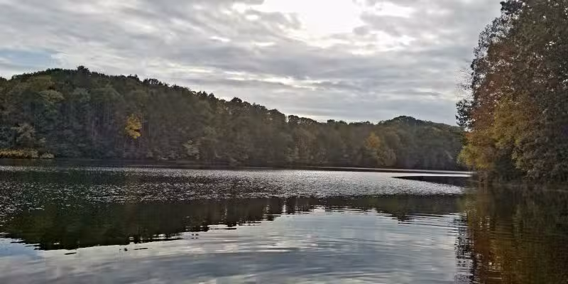 Tuscarora State Park Beach - Barnesville, PA