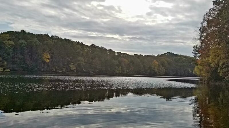 Tuscarora State Park Beach - Barnesville, PA