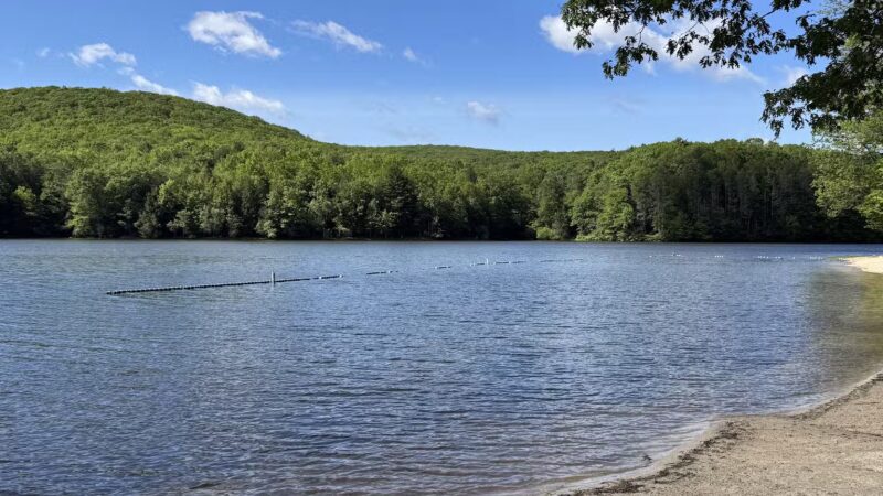 Tuscarora State Park Beach - Barnesville, PA