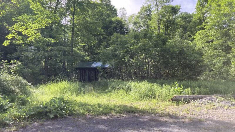 Trenton Town Park - Barneveld, NY