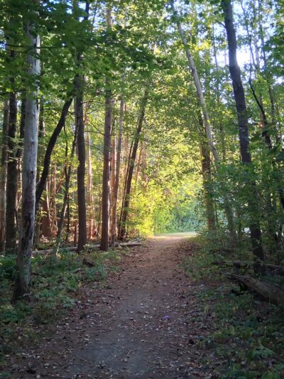 Mass Audubon's Cook's Canyon Wildlife Sanctuary Entrance - Barre, MA