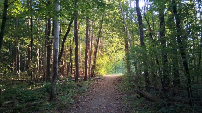 Mass Audubon's Cook's Canyon Wildlife Sanctuary Entrance - Barre, MA