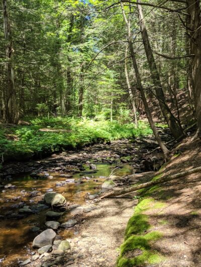 Mass Audubon's Cook's Canyon Wildlife Sanctuary Entrance - Barre, MA
