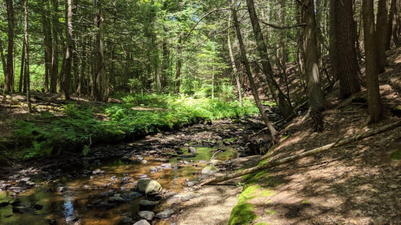 Mass Audubon's Cook's Canyon Wildlife Sanctuary Entrance - Barre, MA