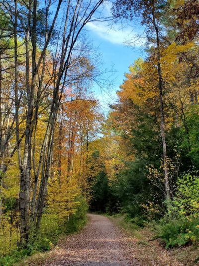 Mass Central Rail Trail - Barre, MA